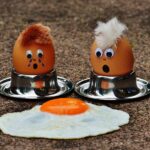 aliments protéinés